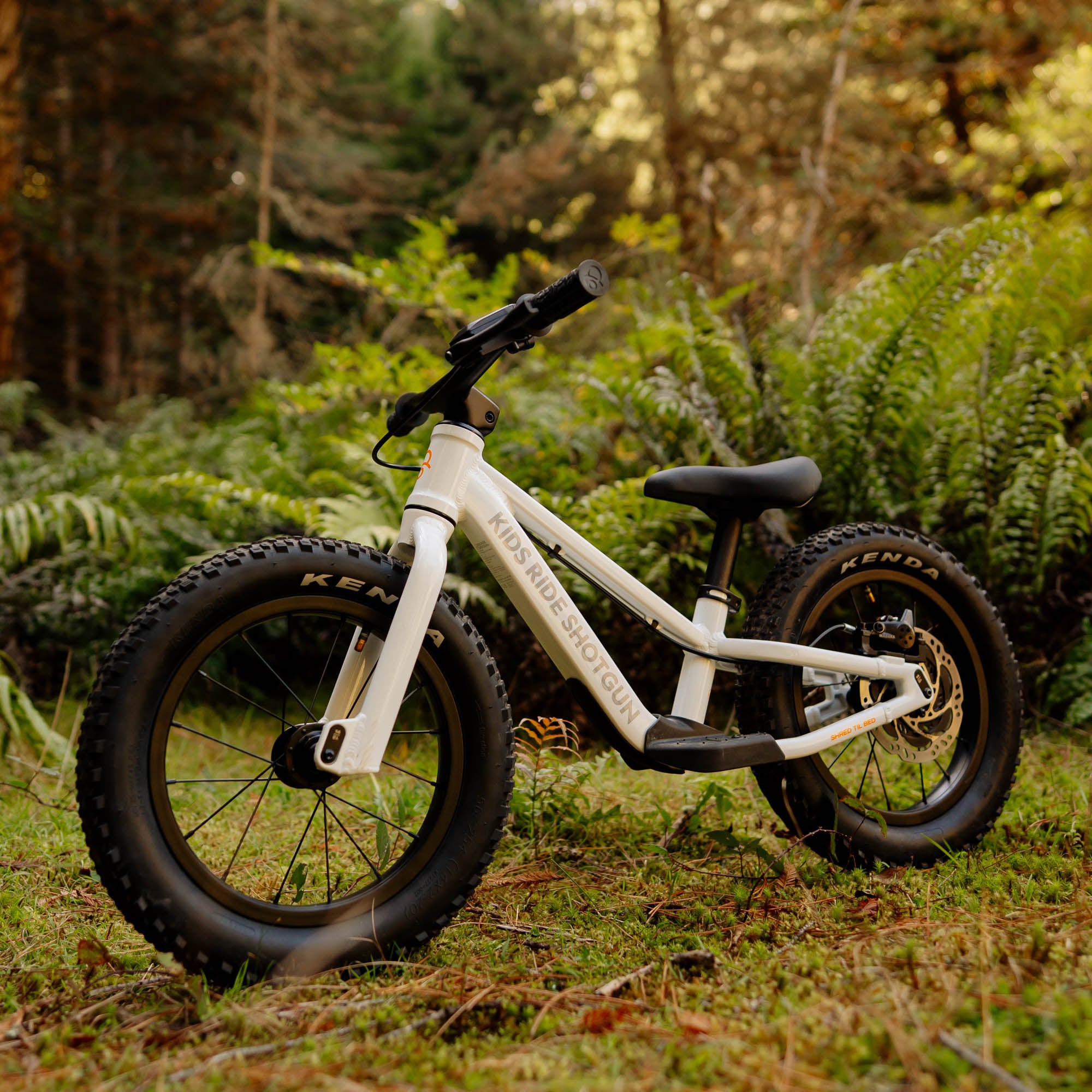 Dirt Hero: Ultimate Off-Road Balance Bike for Ages 2+ Years – Kids
